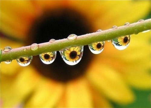 ���տ�QQ�ռ��ز�