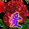 ����ĸ�� ���°���QQ����