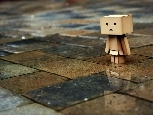 510&times;382