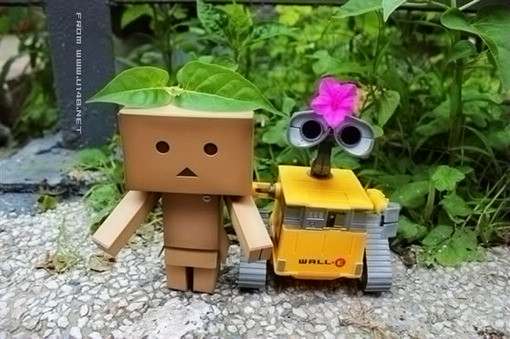 510&times;339