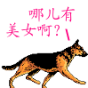 ����Ů 
