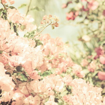QQ���¿ռ��ز�