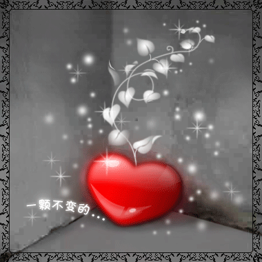 QQ�ռ�С��װ��