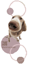 �ɰ�С�ѿռ��ز�