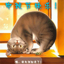 2010����� ��̬QQ����