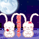 2010����� ��̬QQ����
