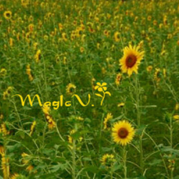 QQ�ռ�������ز�
