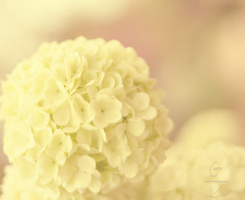 QQ�ռ�ͼƬ�ز�