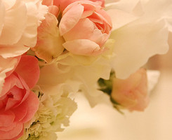 QQ�ռ�ͼƬ�ز�
