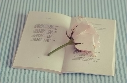 QQ�ռ���־��ͼ�ز�