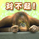 ��ǸQQ����