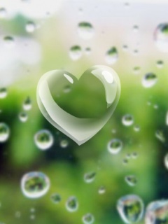 ���Է������ֻ�ͼƬ
