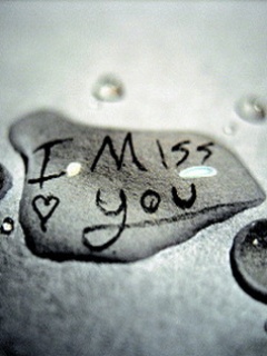 240��320