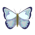 �ʺ�QQ����