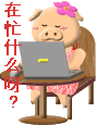�ʺ�QQ����