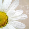 100&times;100