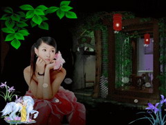 ����2011QQ���� �Ķ��������