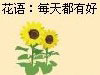 QQõ��С���ĵ� ����Ҫע�������