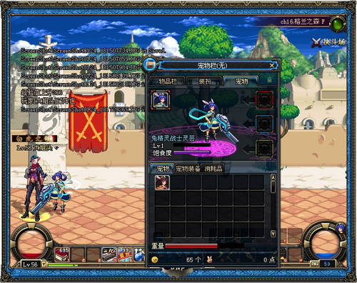 DNF���³�����ʿ���ڻ 2011�����������ѡ