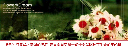 ʢ��ֻ��һ�ֹ�ȥ_��̬�ÿ��ķ�����QQ�ռ�ǩ��ͼƬ