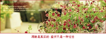 ʢ��ֻ��һ�ֹ�ȥ_��̬�ÿ��ķ�����QQ�ռ�ǩ��ͼƬ