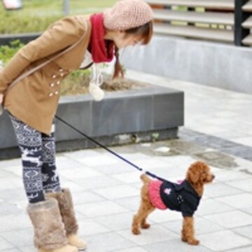 2011可爱女生自白头像