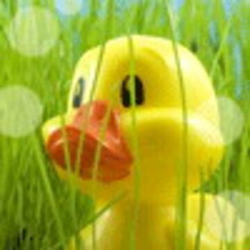�ɰ��Ŀ�ͨQQͷ��_www.qqtn.com
