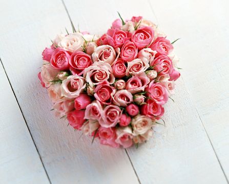 �Ҷ���İ����������?