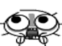 ���۹ĺ�īˮQQ���� ��ͨ�ɰ�QQ����