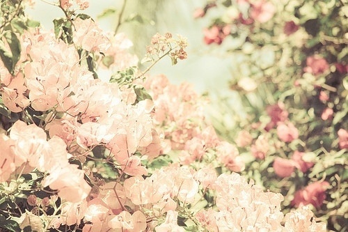 ���᲻�������۾�_�绨�ƾƵ�Ψ���⾳QQ�ռ�ͼƬ�ز�
