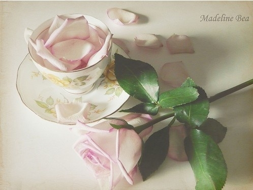 ���᲻�������۾�_�绨�ƾƵ�Ψ���⾳QQ�ռ�ͼƬ�ز�