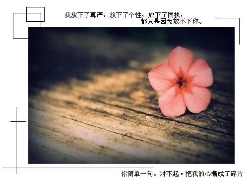 ���ڵ�����Ȼ��ɢ_Ψ���ÿ���QQ�ռ�ǩ��ͼƬ�ز�