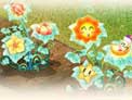 QQ���ٻ��ѵ��� �����������������ˣ�