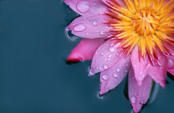 �����㻹���ӳ����ҵĵ������
