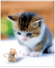 Ⱥ�ıر�QQ���� ��᲻�û�