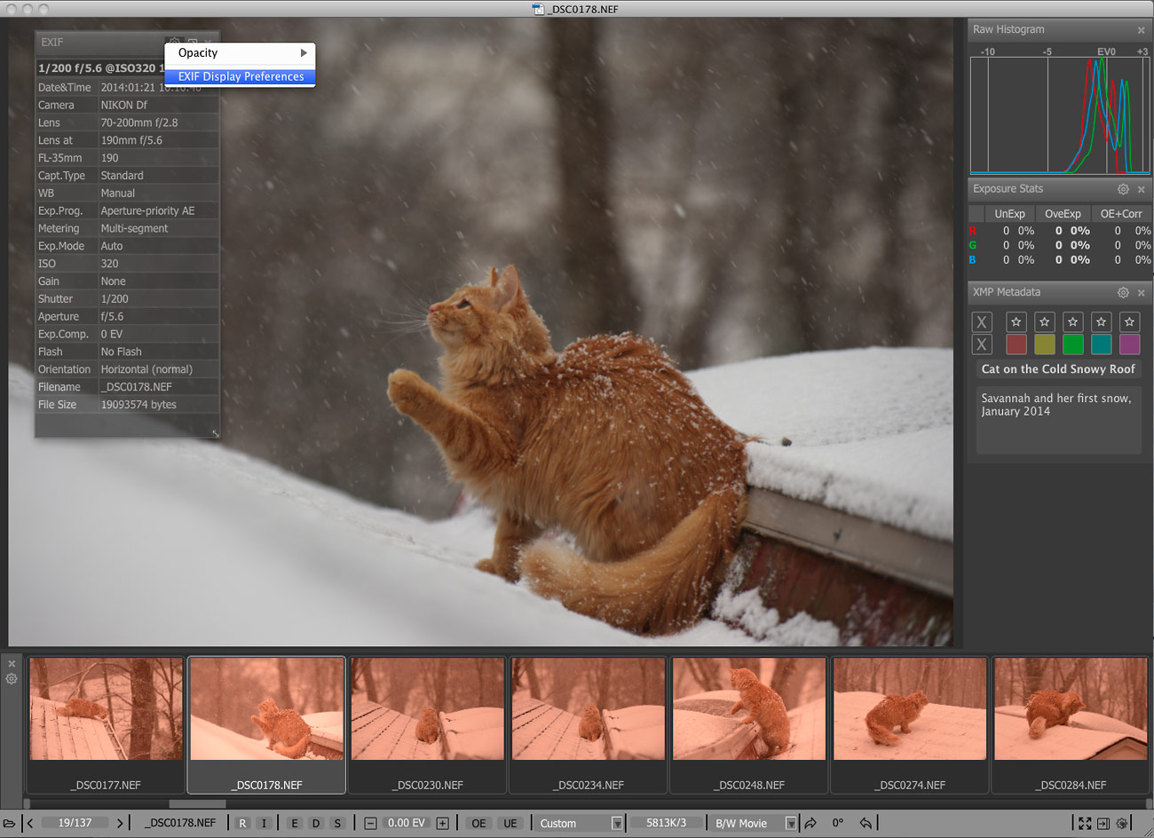 LibRaw FastRawViewer Mac��1.2.0.719 �ƽ��