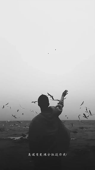 ������app����v2.0