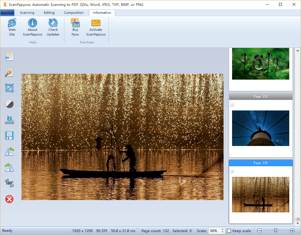 BlackParrot Software ScanPapyrus15.16 破解版