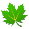 ��ɫ�ػ�(Greenify)v2.8.3 �ر��