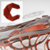 Autodesk Crispin LastMaker & ShoeMaker2016 R1 SP2 Update �ƽ��