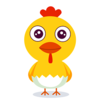 Ȥ�ɳ�App(ϰ������)����v1.0 ��׿��