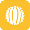 ������appv2.0.0 �ٷ���