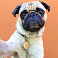 �ɰ������˵�qq�ռ��ز� �����ĵİ͸�ȮͼƬ