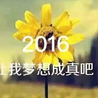 2016������ϵ����ͼƬ�ز� ��ϲ����2016����ʲô����