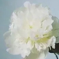 Ψ�����ָ��Կռ����ͼƬ Ҫ������׷��Ҫ�޾ͼ޸��Ҹ�