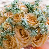 �Ҹ�ͼƬ�ز� �����ʻ�һϮ��ɴֻ��Ϊ��������