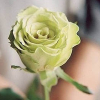 �ÿ��������ͼƬ�ز� ��ʵ��ӵ��ʲô����ů