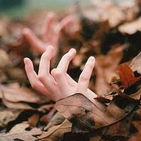 ��Ȼ����羰ͼƬ�ز� ���Ƕ��ܺ�ֻ��ʱ�䲻����