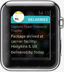 Deliveries for Apple Watchv8.0.6 °