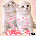 2015qq����������ȫ��67��